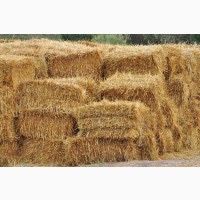 Солома в тюках
