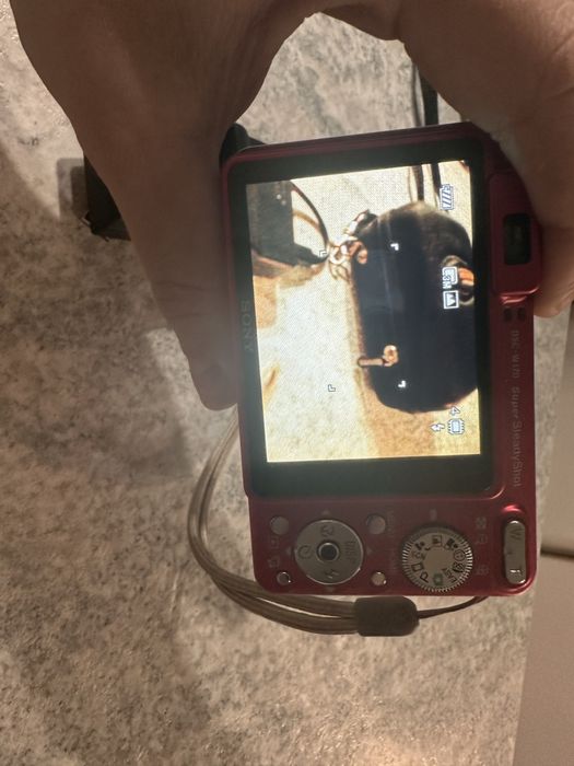 Фотоаппарат Sony