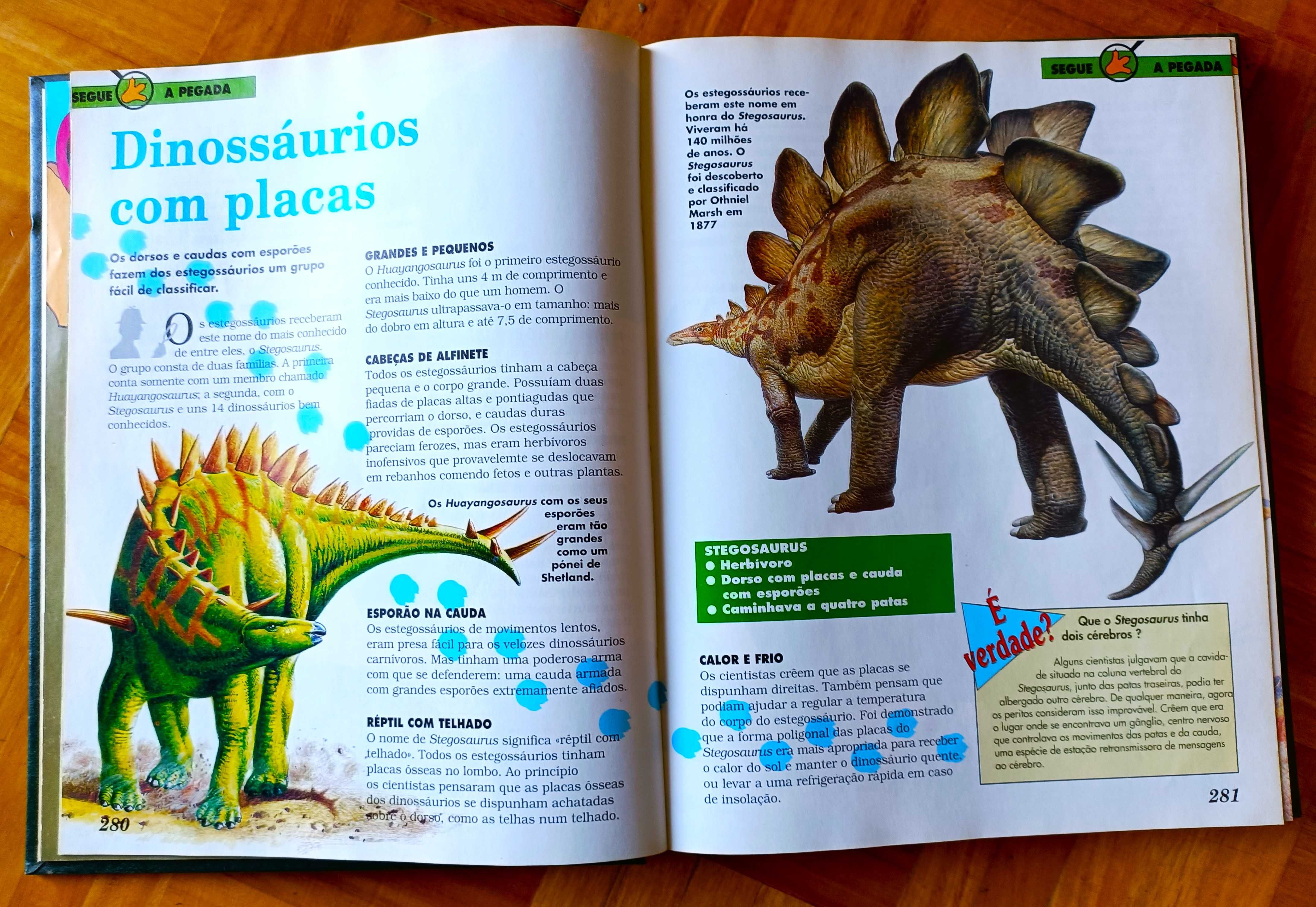 Conjunto de 2 volumes da colecção "Dinossauros"