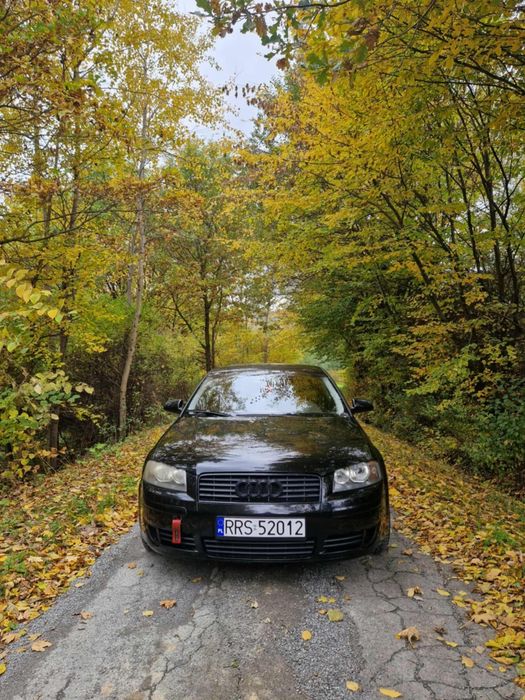 Audi a3 8p 2003 rok