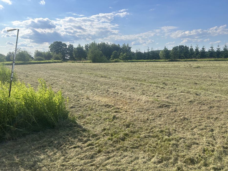 Koszenie molulczerem, mulczowanie traw, łąk, nieużytków,rowów,skarp