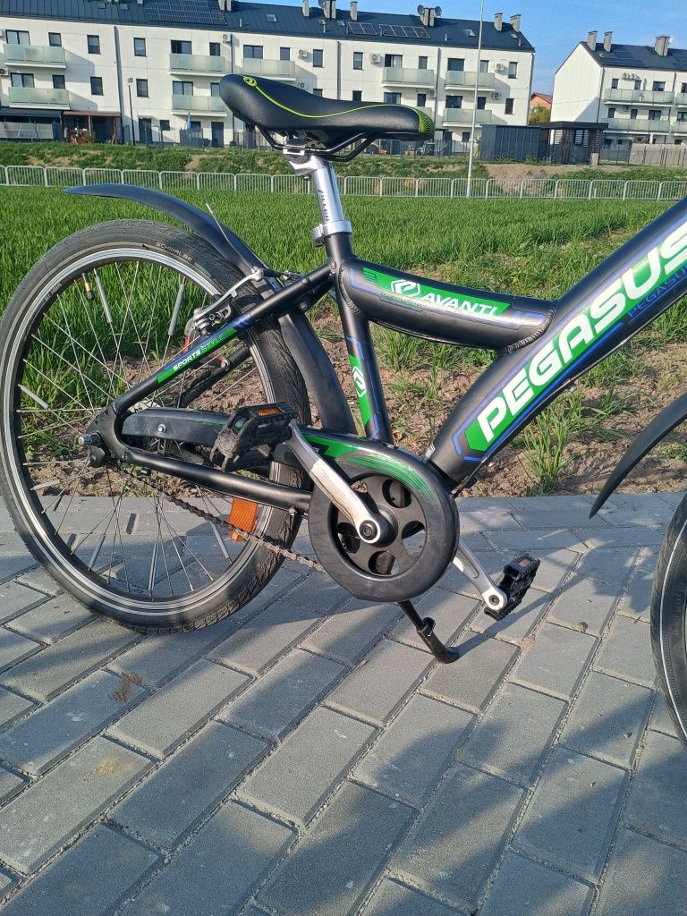 Rower Pegasus Avanti