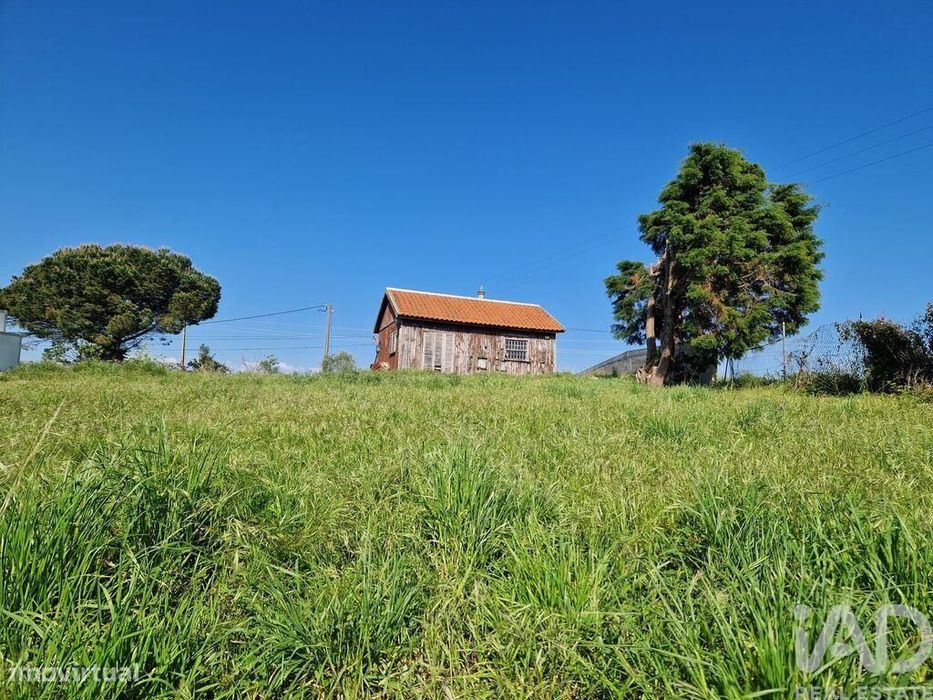 Terreno T1 em Lamas e Cercal de 3520,00 m2