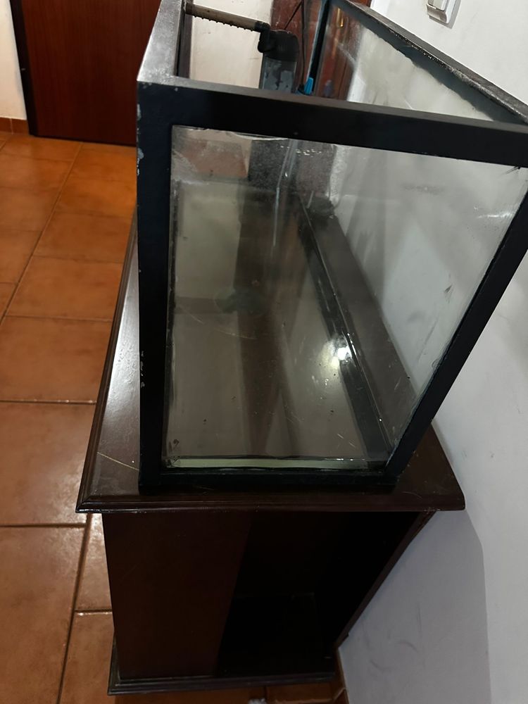 Aquario 100L + Movel + acessórios