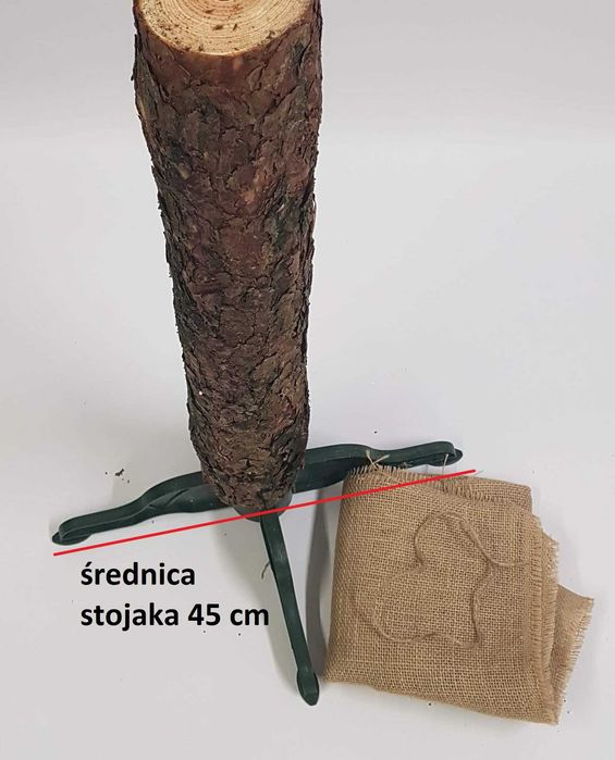 Naturalny sosnowy pień do choinki na pniu wys. 70 cm, śr. 9 cm