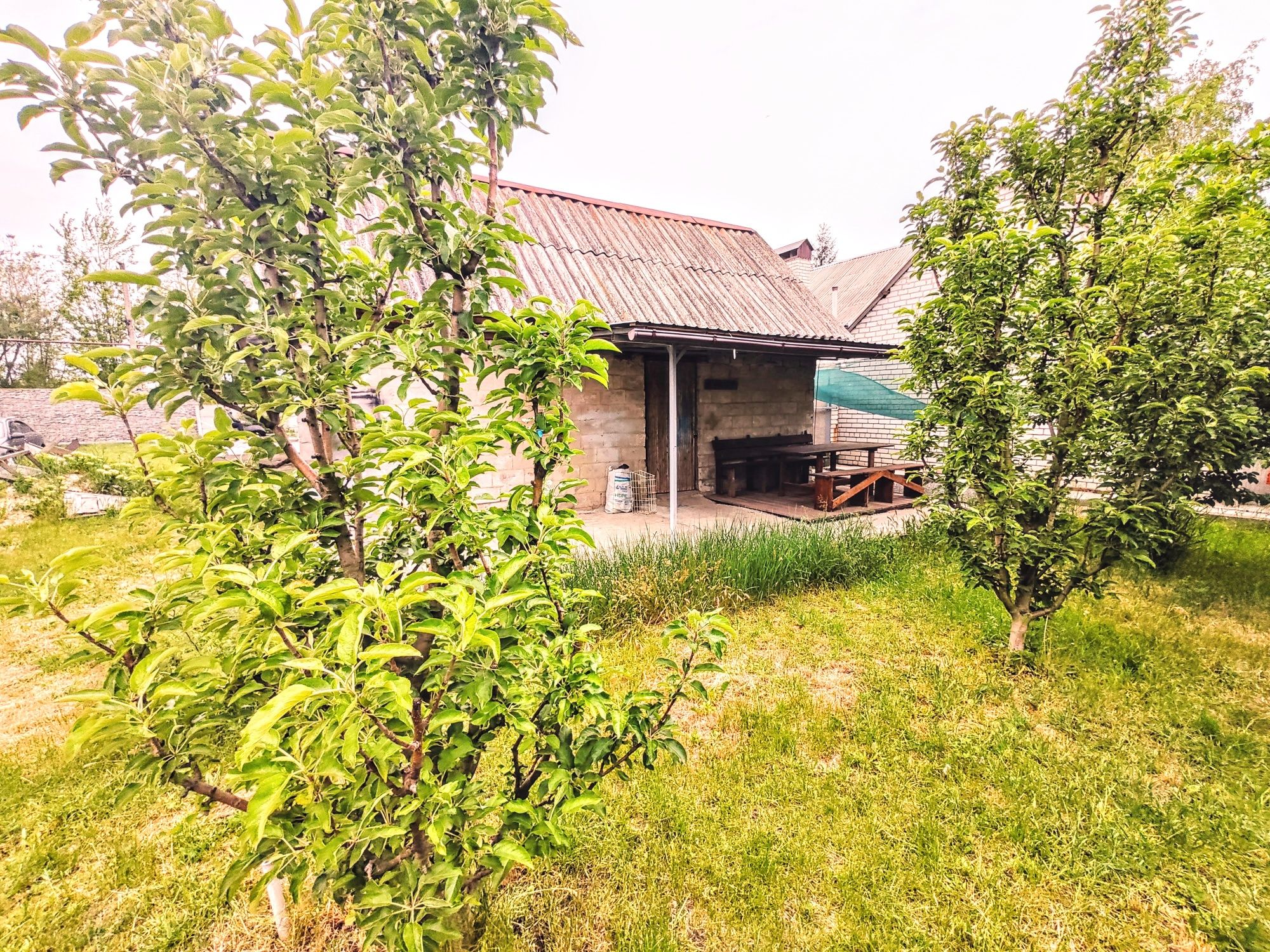 Продам ділянку з будиночком в Олександрівці