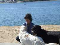Hospedagem Familiar  Cães/ Creche/ Passeios (VNG)
