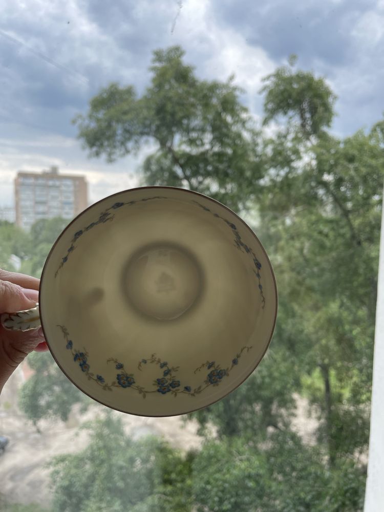 Rosenthal чайна трійка