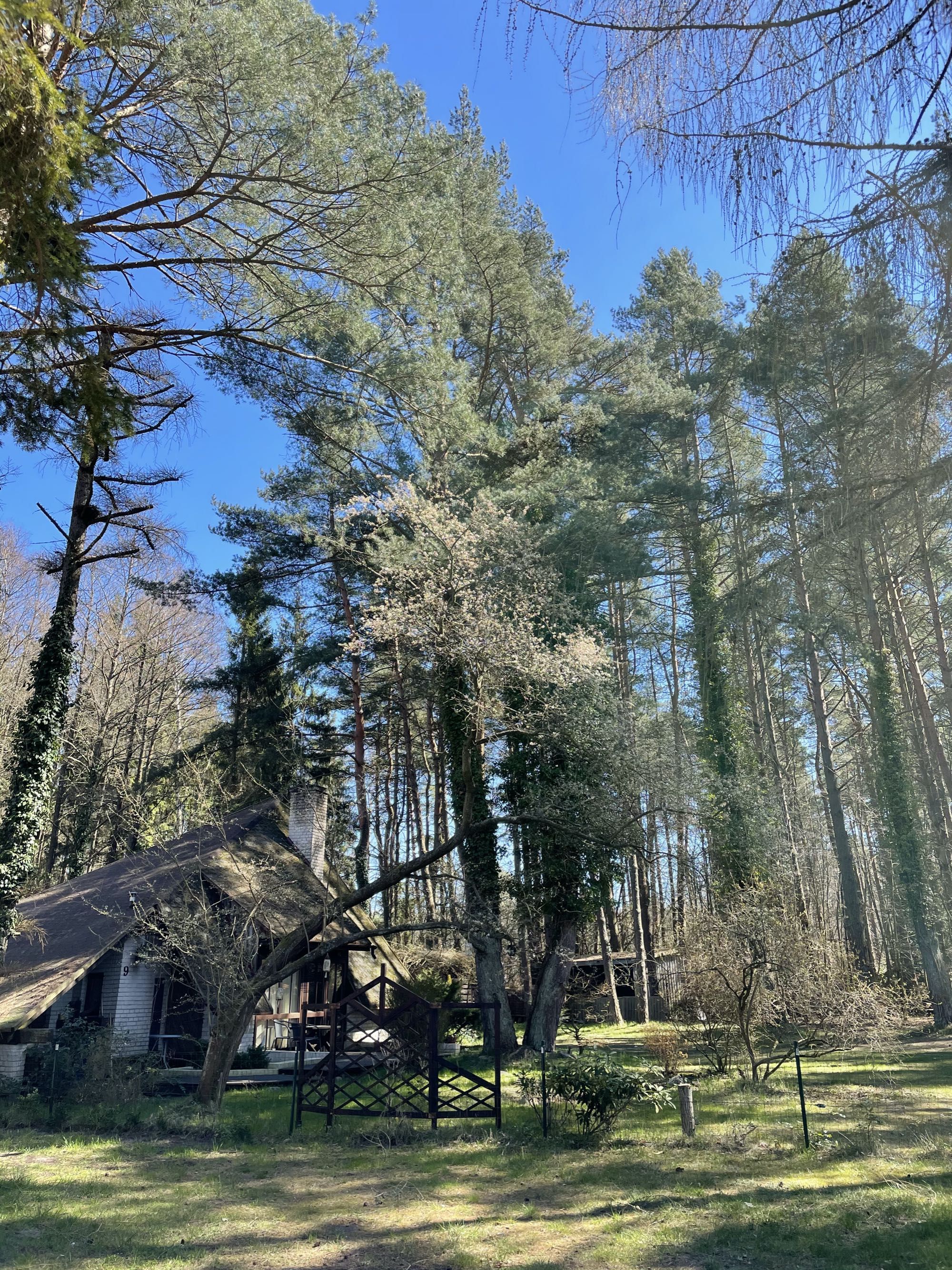 PODDĄBIE, blisko Ustki 500m od plaży! Ostatnie wolne terminy.