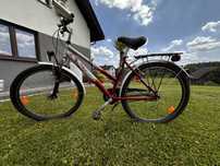 Rower Pegasus 26 cali