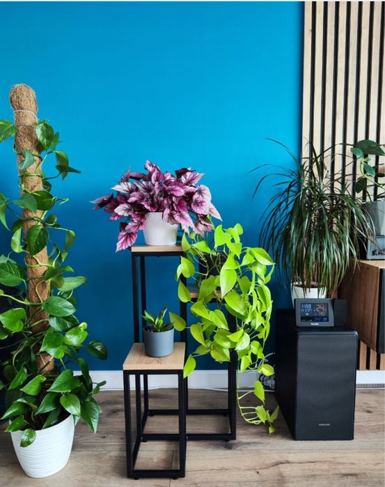 Kwietnik na 3 kwiatki – elegancja i porządek w Twojej zieleni