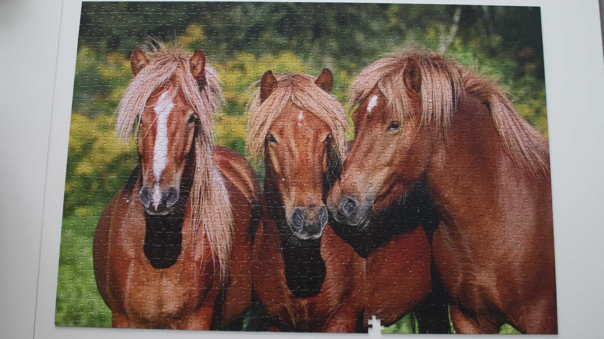 puzzle 1000 el Castorland konie - jeden brak