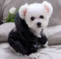 Зимовий костюм для собаки