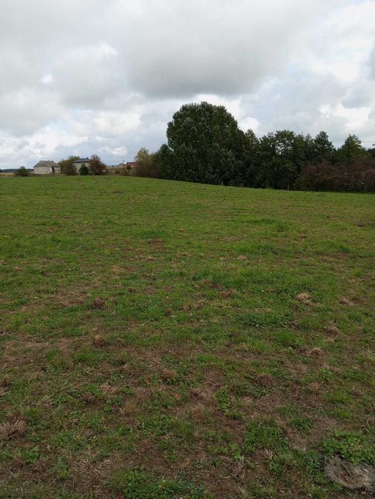 Działka z linią brzegową jeziora Długie 30ar