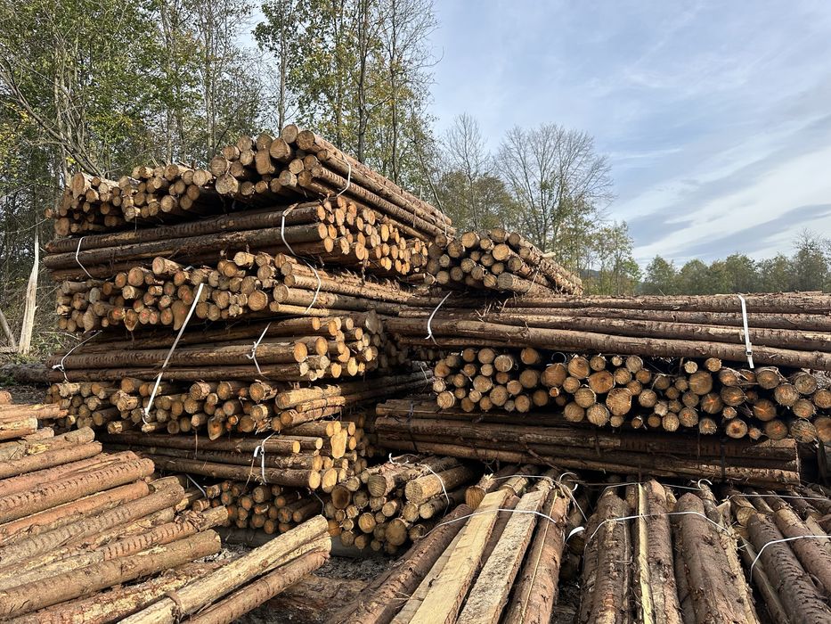 Stemple Deski 25/32 mm kantówki więźba dachowa