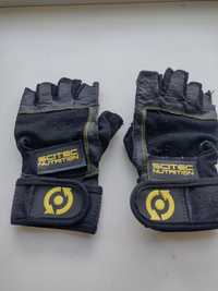 Перчатки для зала атлетические Scites nutrition glove