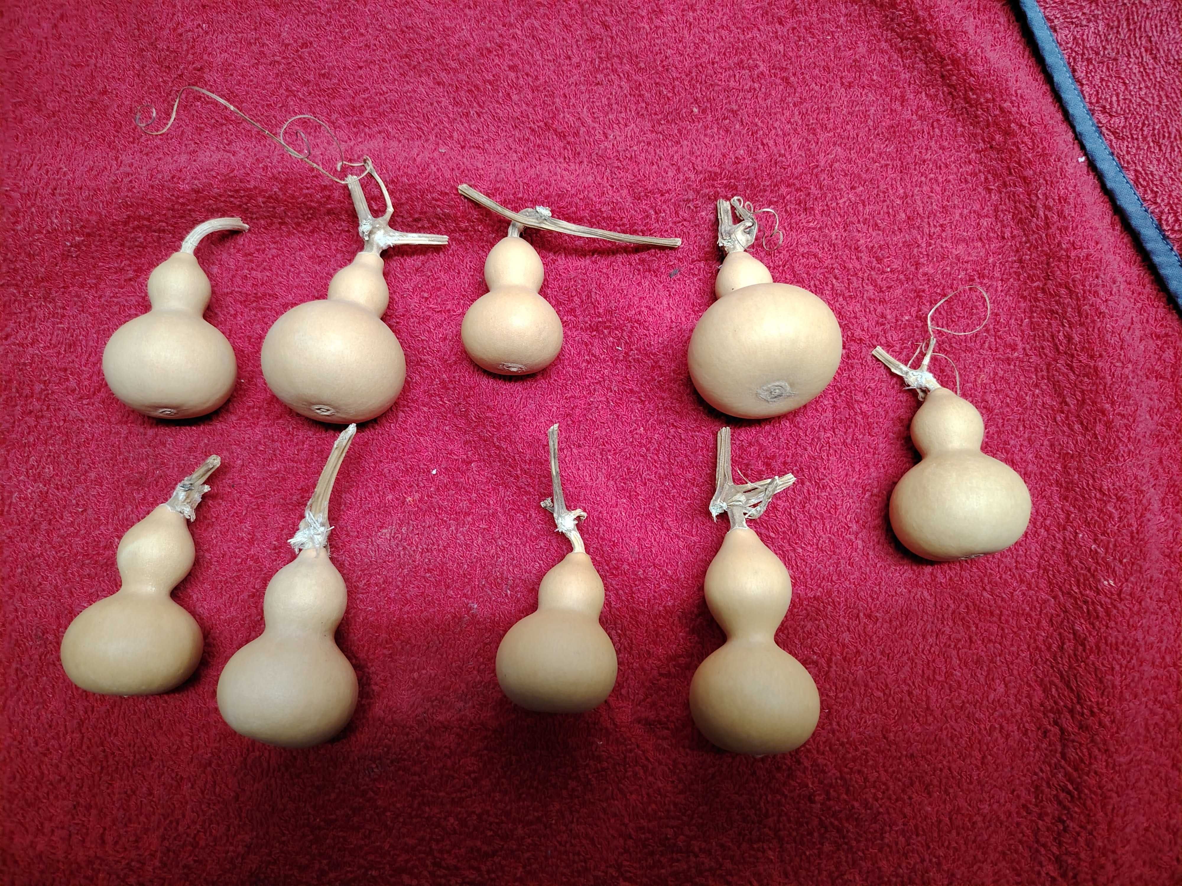 Cabaças mini, 4/6 cm  naturais para decoração