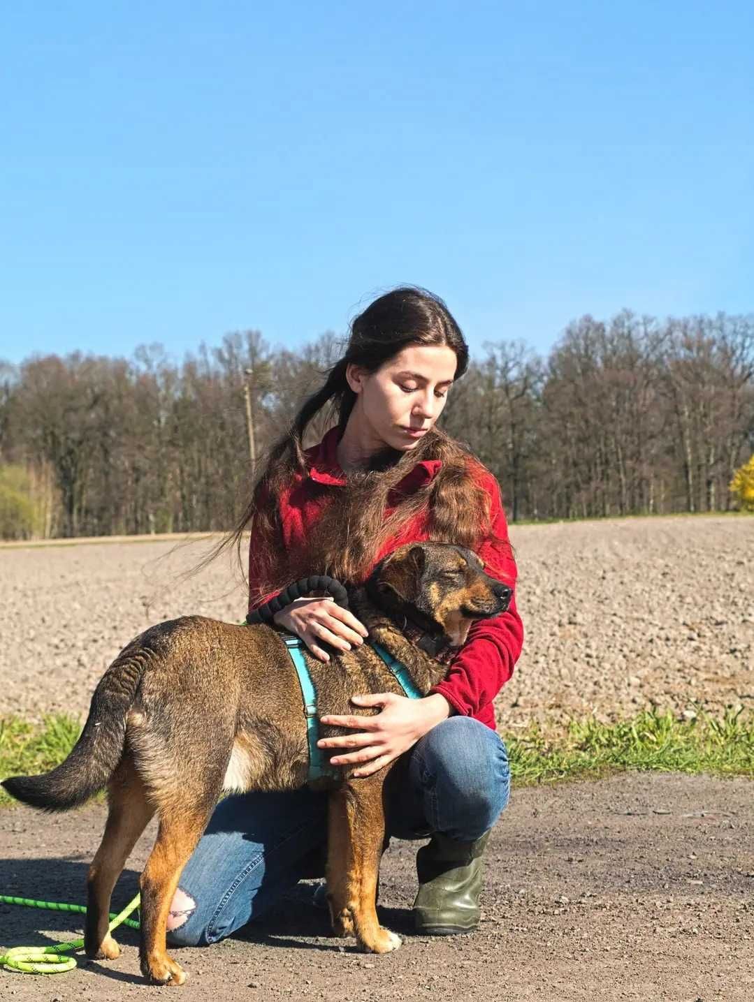 Miłość czeka w schronisku!