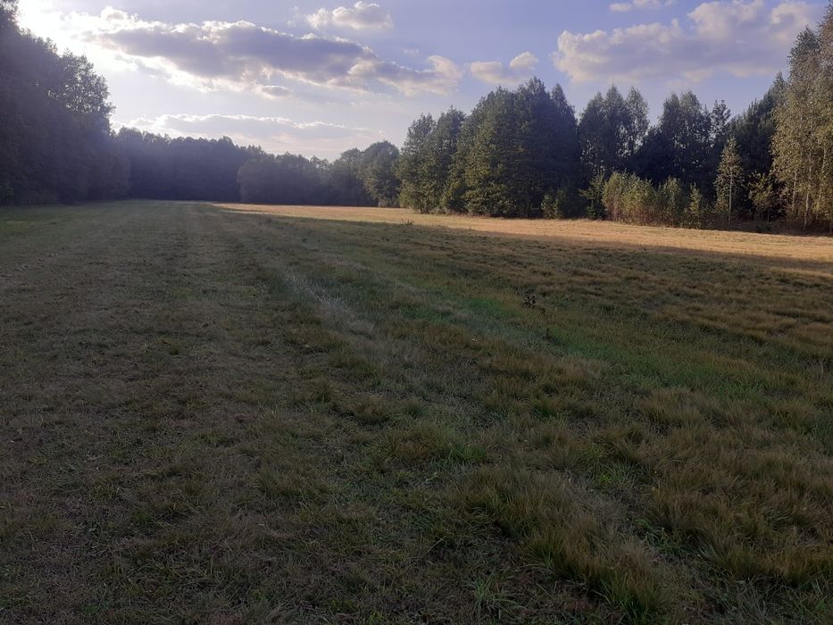 Wydzierżawię działkę 40000 m2