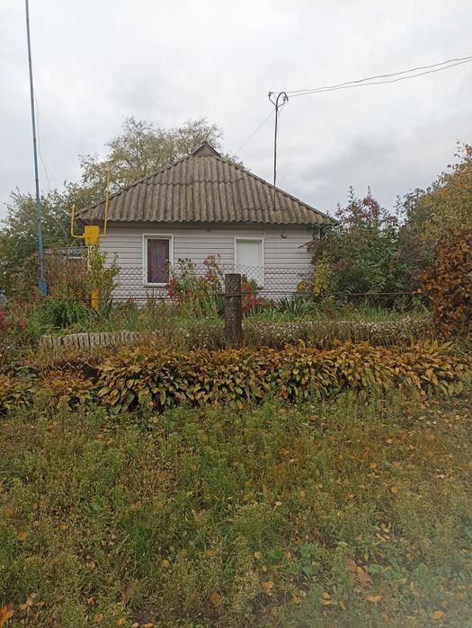 Продам будинок у селі