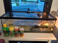 Aquário de tartarugas 75l