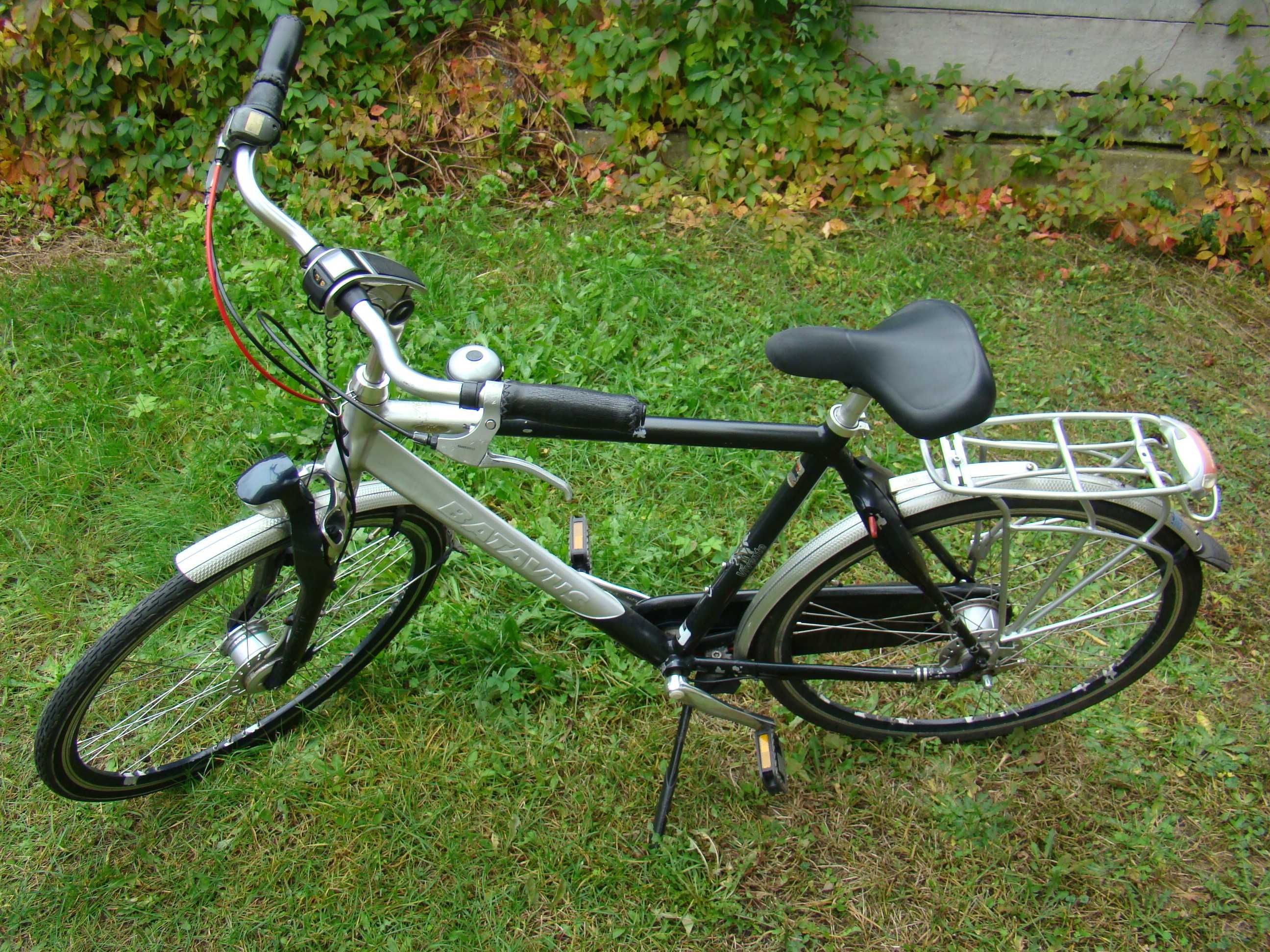 Rower   Batavus   Virente