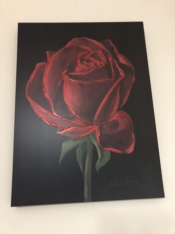Przepiekny obraz czerwona róża na czarnym tle