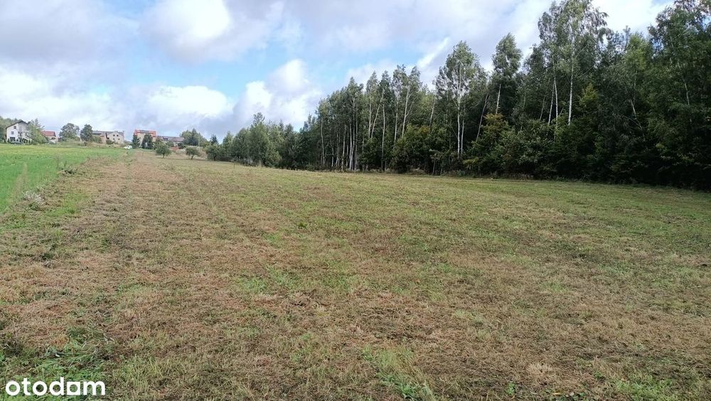 Sprzedam działkę rolno-budowlaną, inwestycyjną