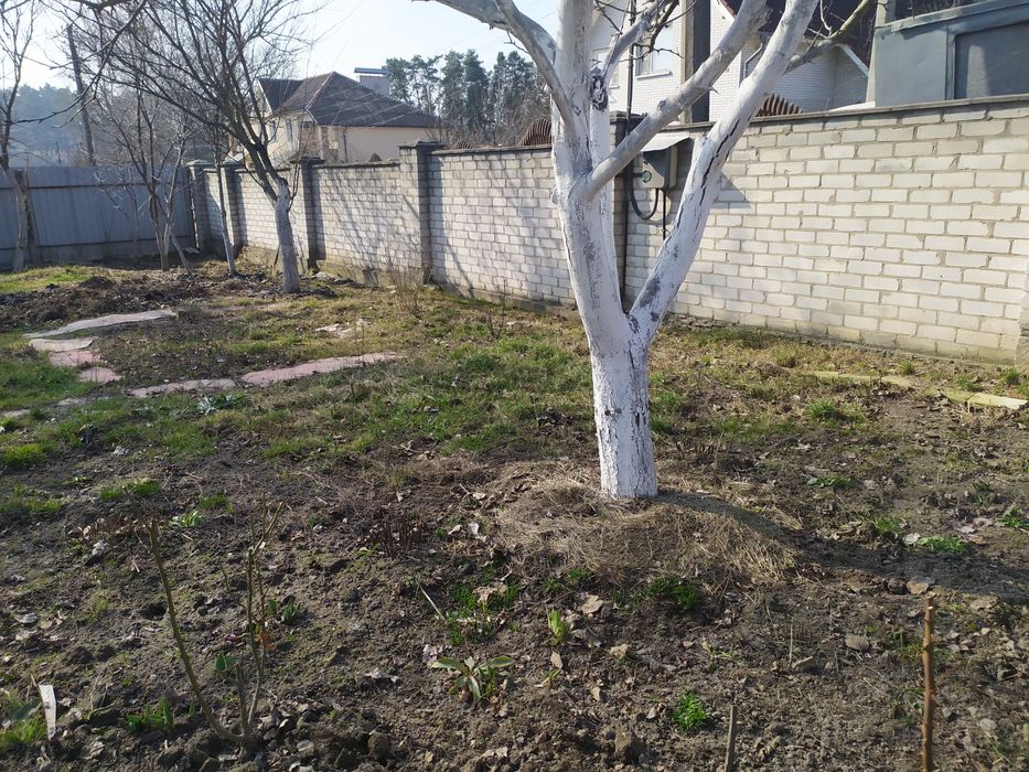 Продам небольшую усадьбу на Корбутовке!