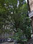 Продаж 2х кім кв-ри в центрі на тихій вулиці Кучера