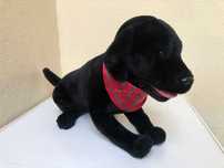 Cão de peluche 50 cm