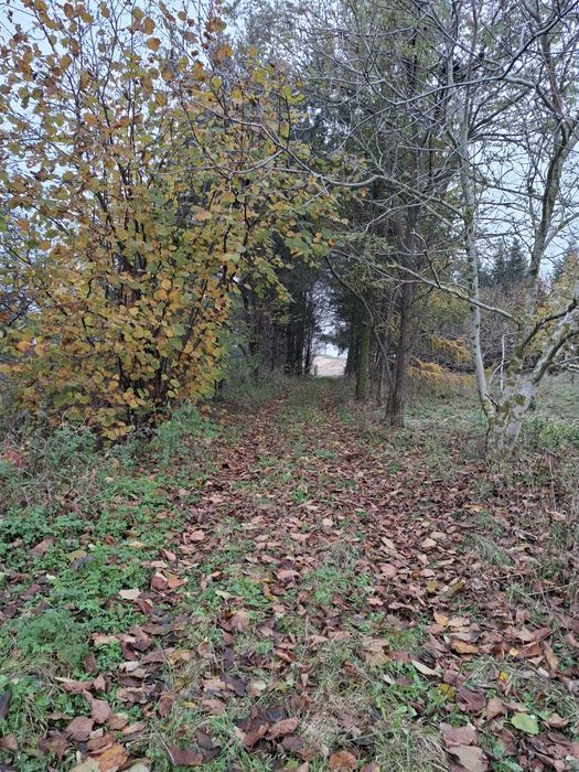 Siedlisko w pięknej okolicy