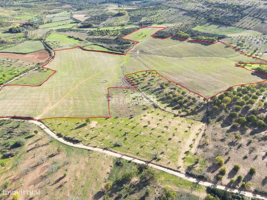 Propriedade Agrícola Parada - Bragança