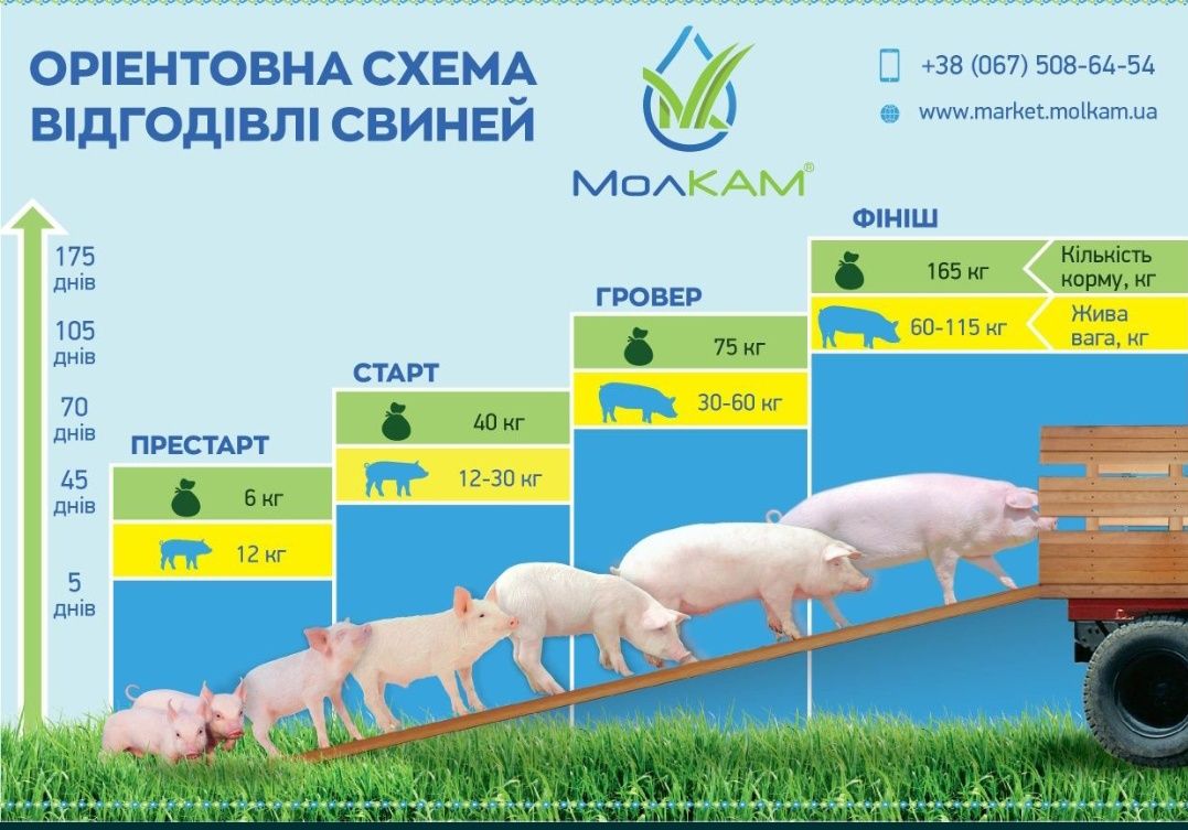 БМВД преміум якості Молкам 40% сирого протеїну