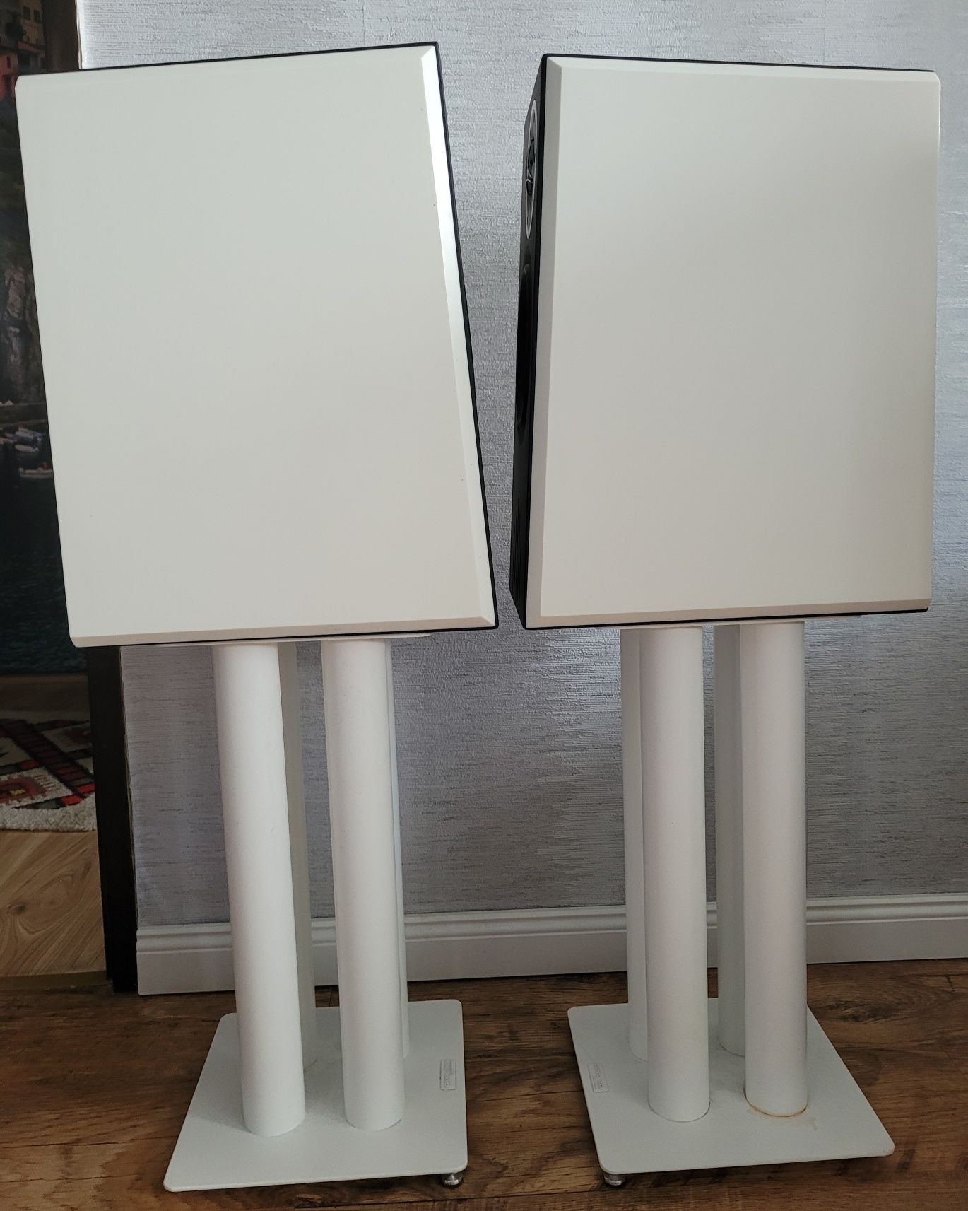 Harpia Acoustics  Jantar-okazja , roczne flagowe, 2 lata gwarancji plu