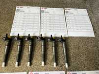 Wtryskiwacz wtrysk 3.0 d M57 M57N2 BMW E83 X3 E71 X6 E60 E70 E92 E65 WYDRUK