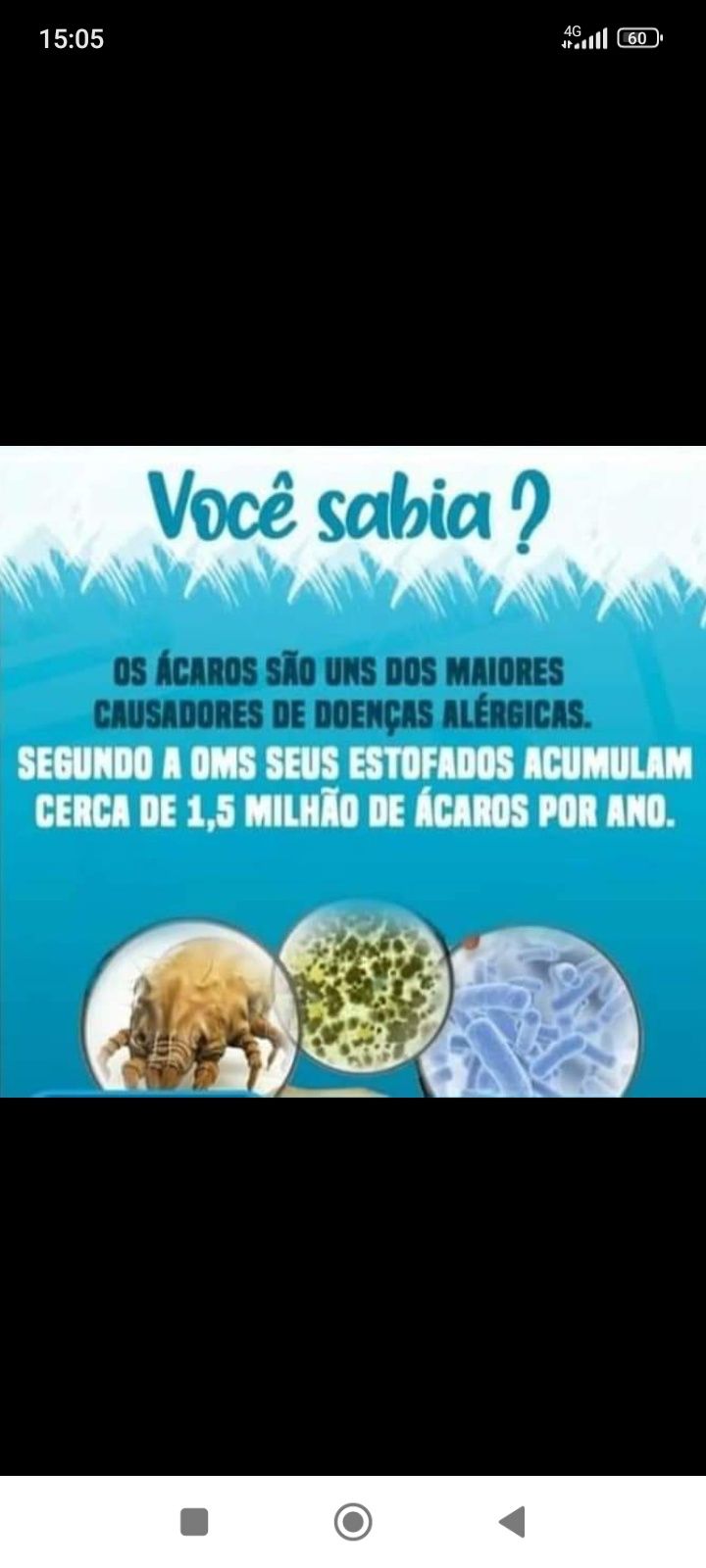 Limpeza e higienização de sofás colchões tapetes carpetes e alcatifas