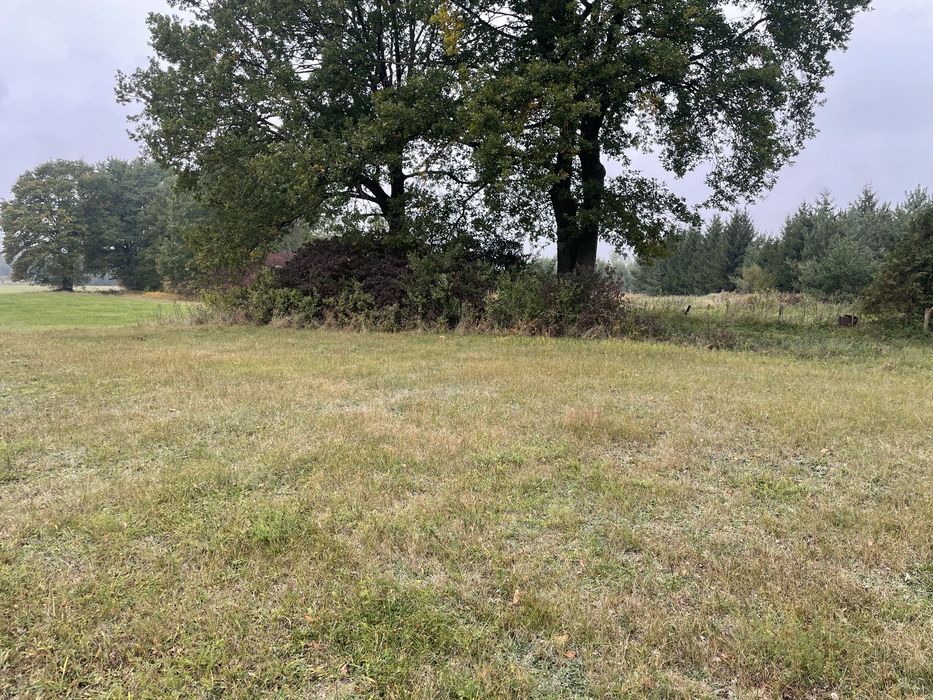 Działka budowlana nad Bugiem gmina Drohiczyn