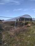 Estufas agricultura