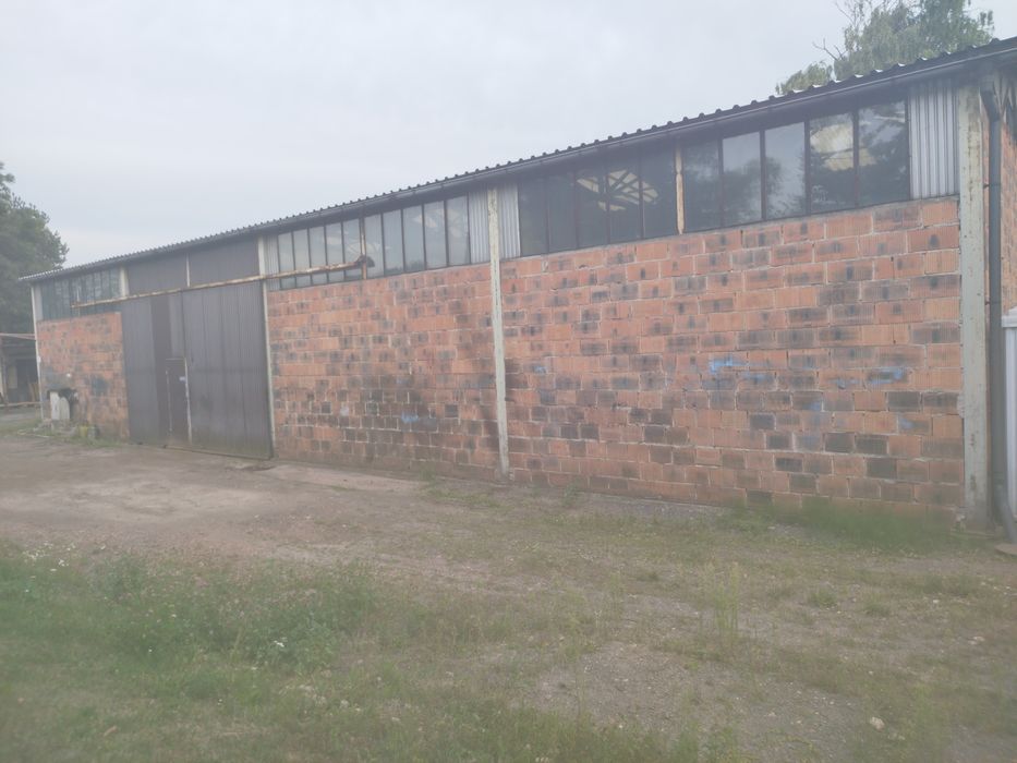 Hala wynajem Gliwice Bojków