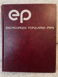 Encyklopedia popularna PWN wyd.XXI 1991