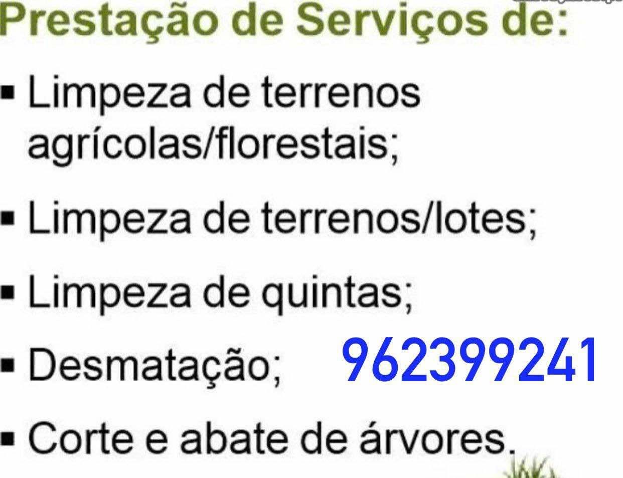 Limpeza de terrenos