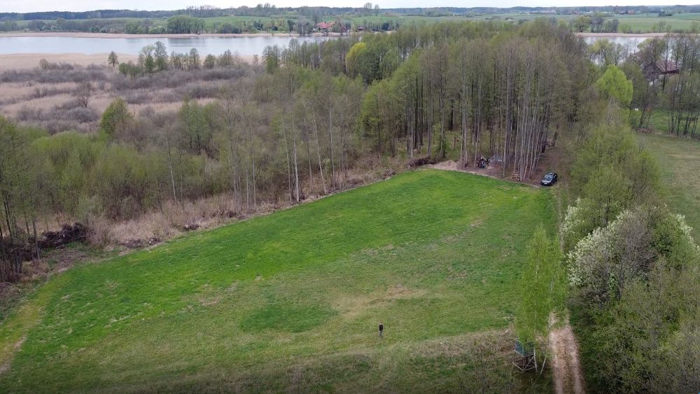 Działka 15ha nad jeziorem Rajgrodzkim - własna linia brzegowa