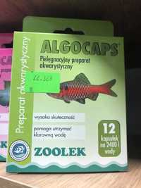 Algocaps zoolek pomaga utrzymać klarowną wodę w akwarium 12kapsułek