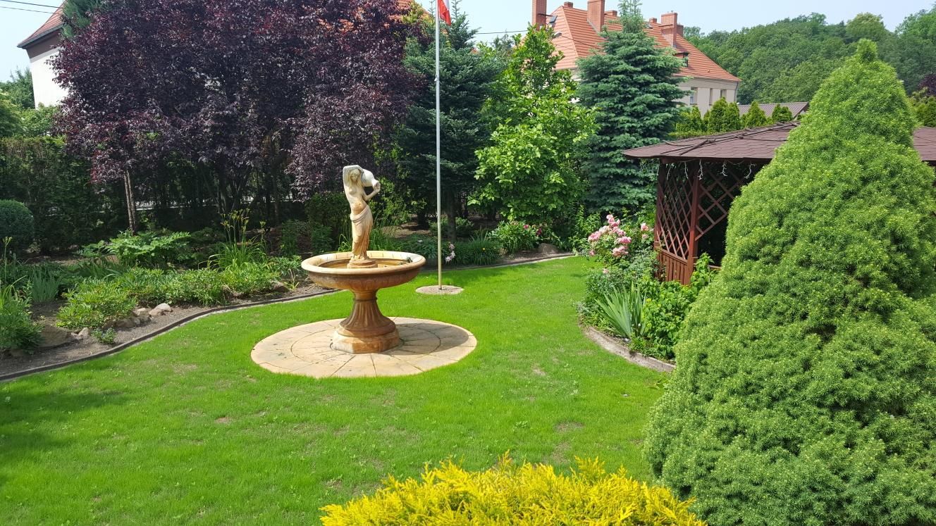 Sprzedam nas*ona trawy ARETA rozlogowa