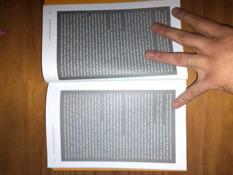 Livro Roger Schmidt