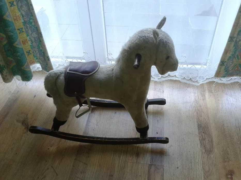 Koń na biegunach