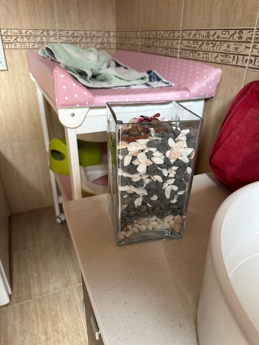 Vaso transparente com pedrinhas e catos decoração