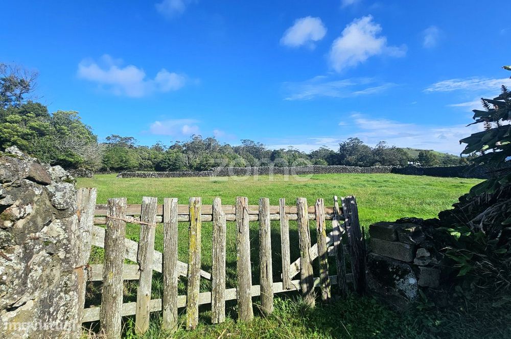 Terreno agrícola - Canada do Pico do Alho, concelho da Ribeira Grande