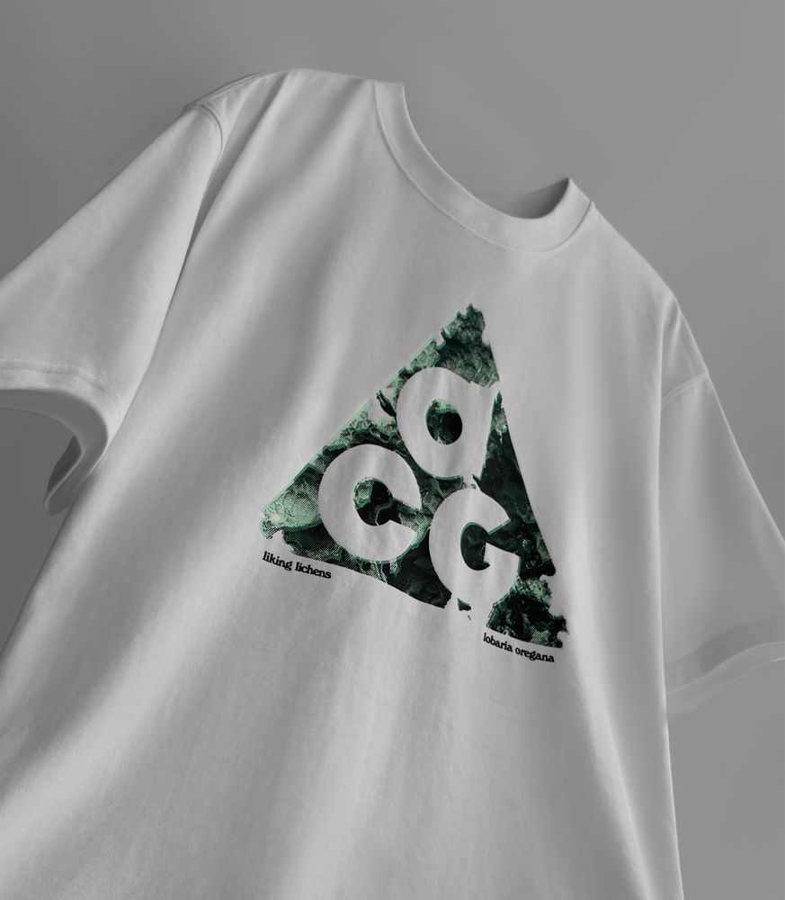 Футболка Nike ACG Northwest's Cascade Mountain Range Tee (loose fit)